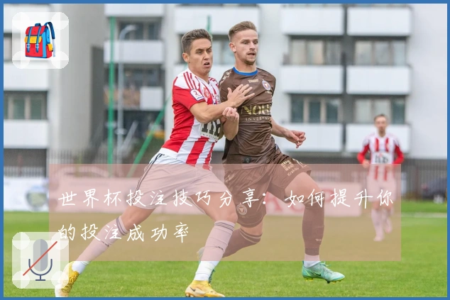 世界杯投注技巧分享：如何提升你的投注成功率
