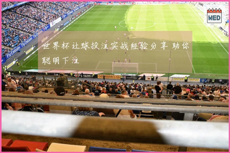 世界杯让球投注实战经验分享 助你聪明下注