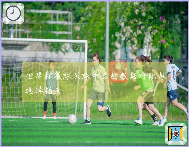 世界杯滚球买球平台的数据对比与选择指南