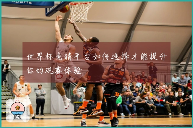 世界杯竞猜平台如何选择才能提升你的观赛体验
