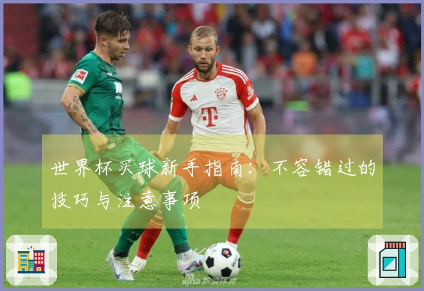 世界杯买球新手指南：不容错过的技巧与注意事项