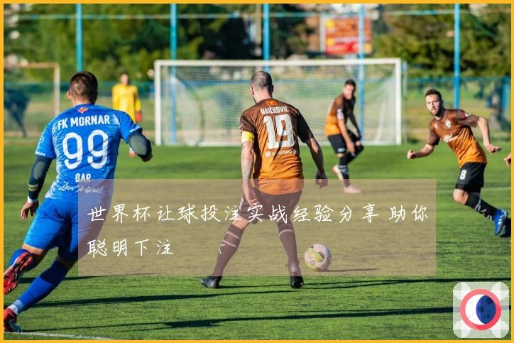 世界杯让球投注实战经验分享 助你聪明下注