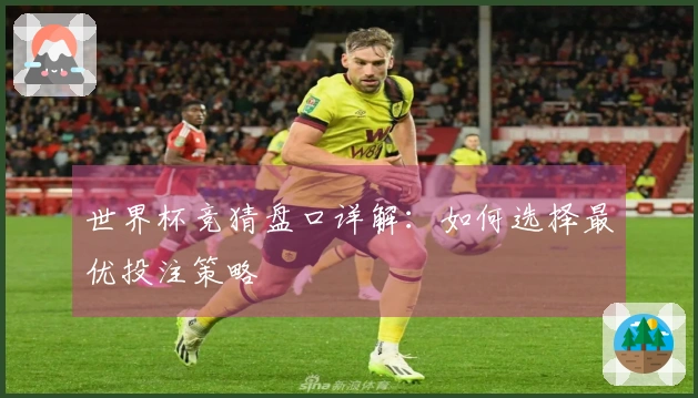 世界杯竞猜盘口详解：如何选择最优投注策略