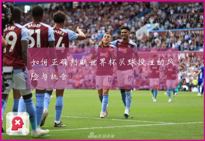 如何正确判断世界杯买球投注的风险与机会