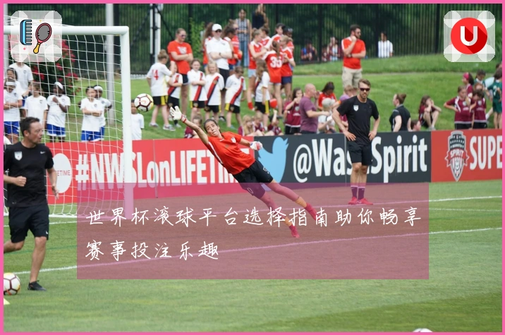 世界杯滚球平台选择指南助你畅享赛事投注乐趣