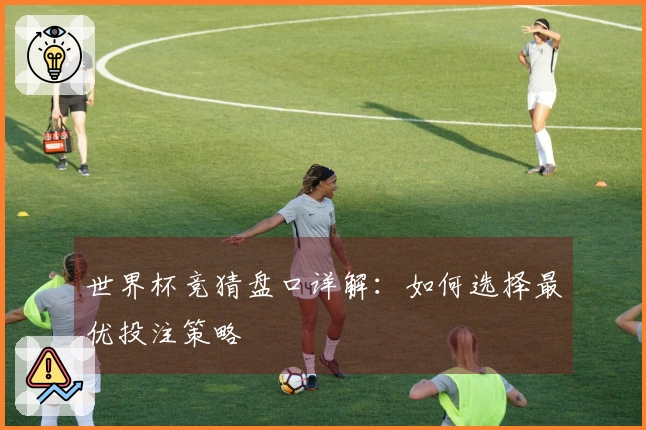 世界杯竞猜盘口详解：如何选择最优投注策略