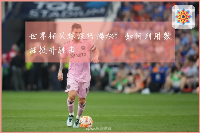 世界杯买球技巧揭秘：如何利用数据提升胜率