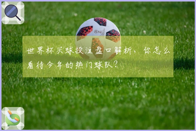 世界杯买球投注盘口解析，你怎么看待今年的热门球队？
