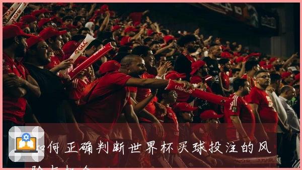 如何正确判断世界杯买球投注的风险与机会