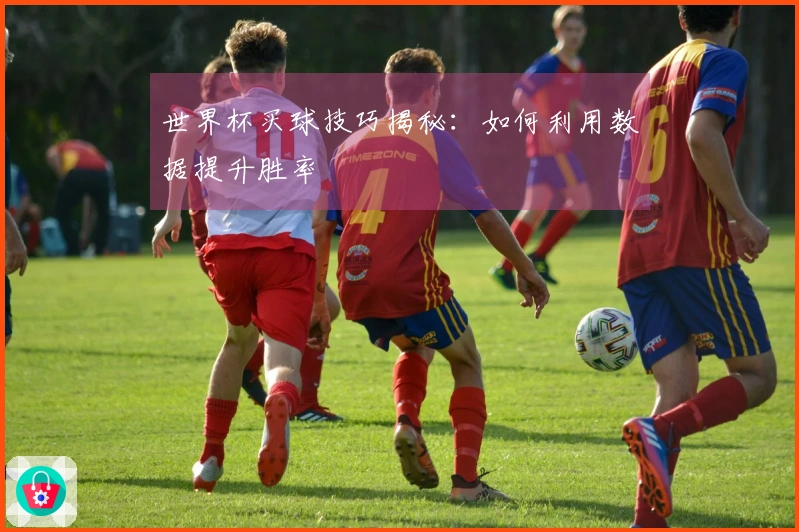 世界杯买球技巧揭秘：如何利用数据提升胜率